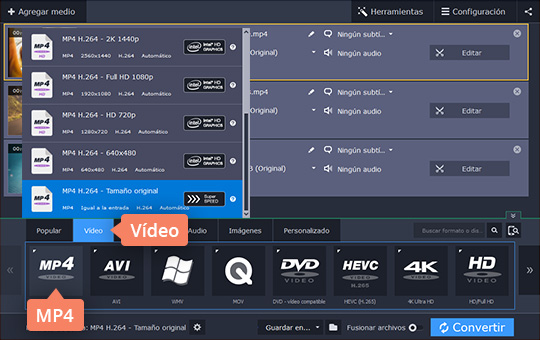 Definir el formato de salida Convierta sus vídeos VOB a AVI y otros formatos con el software de Movavi
