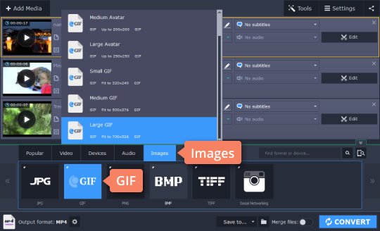Step 3: Convert WebM to GIF and vice versa Step 3 - How to convert WebM to GIF and vice versa