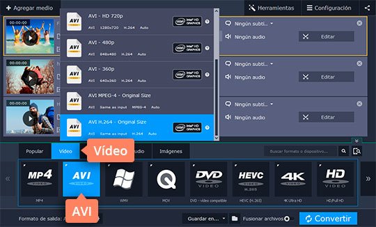 Seleccionar un formato apropiado Pase su DVD a AVI con el programa fácil de Movavi