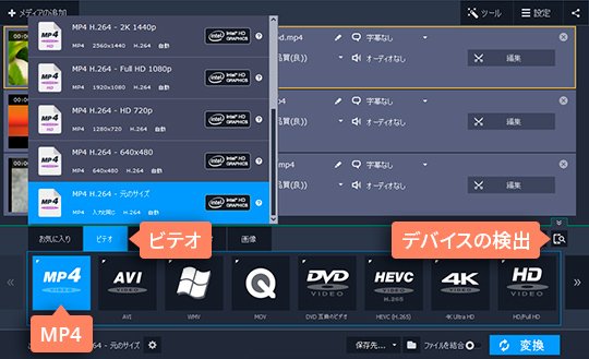 望むファイル形式を選択します 3ステップ:ファイル形式を選んでください