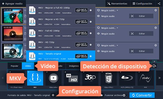 Especificar un formato Pase el DVD a MKV rápidamente con Movavi Video Converter