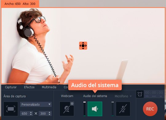 Especificar el área de la captura Grabe un audio online con el software sencillo de Movavi