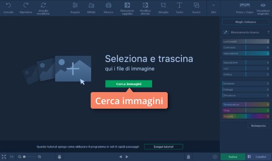 Scegliere il file da modificare Scoprite come ritoccare le foto con Movavi Photo Editor