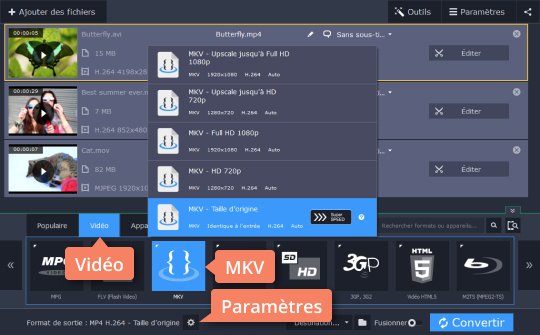 Choisir le format de sortie Convertissez vos fichiers MKV avec Movavi