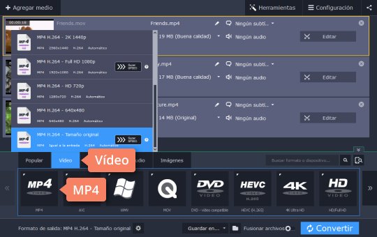 Elegir MP4 como el formato deseado Pase un formato MP4 a FLV con Movavi