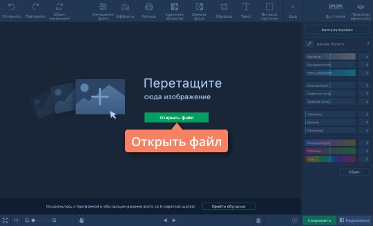 Загрузить изображение в Фоторедактор Movavi Откройте файл в программе Movavi для изменения фона на фото