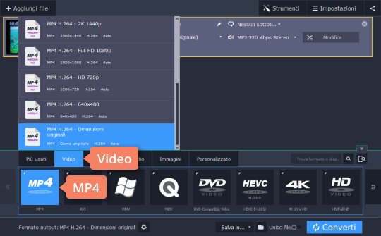 Scegliere il formato di destinazione Scopri come convertire video da 4:3 a 16:9