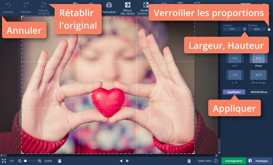 Définir la taille du cadre manuellement en cas de besoin Recadrez une image facilement dans Movavi Photo Editor