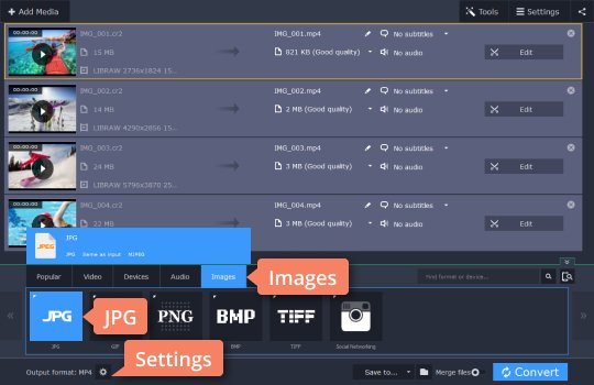 convert raw to jpeg online