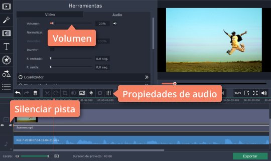 Editar el nivel de sonido Aprenda cómo usar el grabador de voz de Movavi