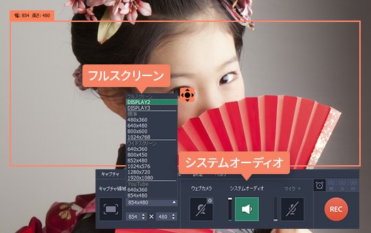 キャプチャを始まるためにビデオのサイズを選択します 2ステップ:画面にキャプチャした地帯を選んでください