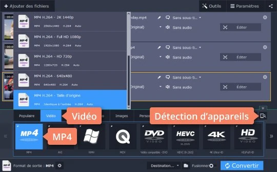 Convertir M2ts En Avi Mp4 Mkv M2ts Converter De Movavi