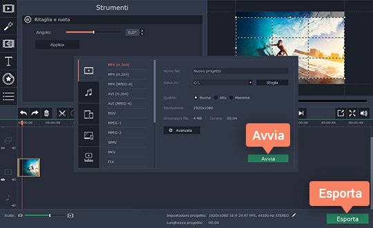 Salvare il video risultante Tagliate l'inquadratura dei video in modo semplice - Movavi