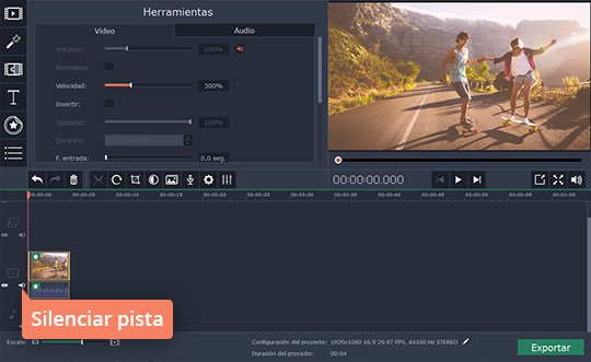 Parar el sonido original Cree los vídeos a cámara rápida con el software fácil de Movavi
