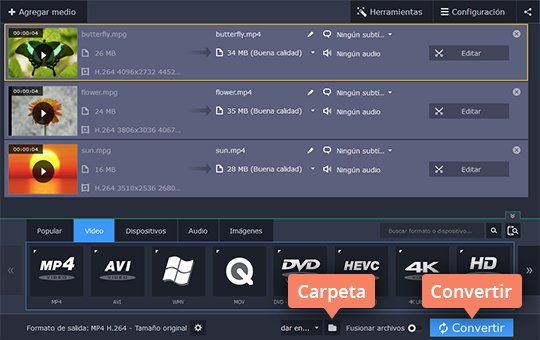 Convertir el archivo arrastrado Use fácilmente el convertidor de MP4 a MPG de Movavi