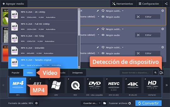 Definir el formato del vídeo final Convierta MP4 a MPG con el convertidor fácil de Movavi