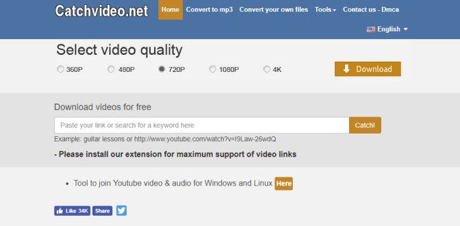 video downloader online