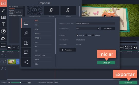 Guardar la nueva música Quite el sonido del clip con Movavi