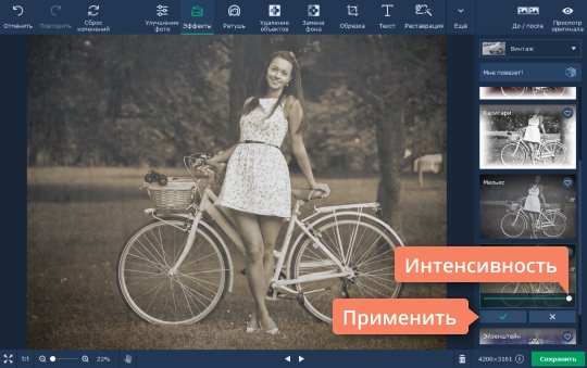 Настроить интенсивность эффекта Настройте интенсивность винтажного эффекта на фотографии