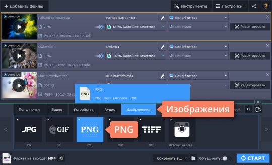 Выбрать формат PNG из списка Выберите подходящий формат, чтобы конвертировать WebP в PNG