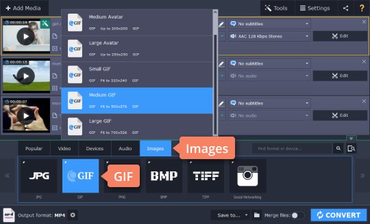 Step 4.1: Convert AVI to GIF and vice versa Step 4.1 - How to convert AVI to GIF and vice versa