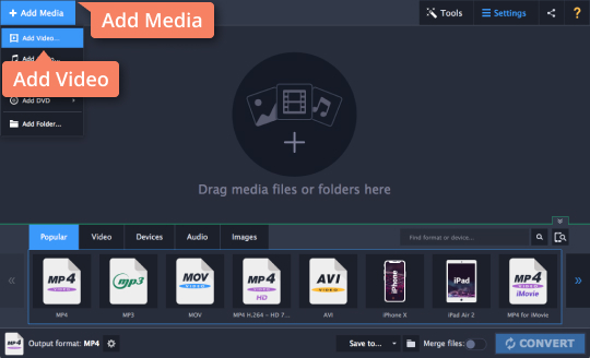 Step 2: Convert SWF to MP4 and vice versa Step 2 - How to convert SWF to MP4 and vice versa