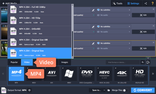 Step 3: Convert SWF to MP4 and vice versa Step 3 - How to convert SWF to MP4 and vice versa