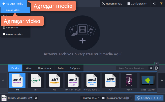 Definir los parámetros de grabación Use el programa para convertir archivos SWF de Movavi
