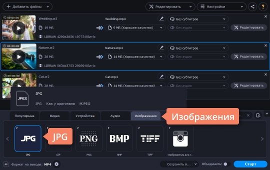 Выбрать формат JPG из списка Выберите подходящий формат, чтобы конвертировать CR2