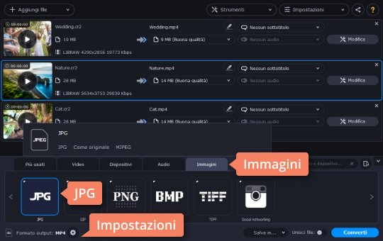 Scegliere il formato di immagine Prova un programma per convertire CR2 in JPG di Movavi