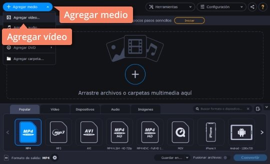 Agregar un archivo necesario Convierta MKV a MP4 con el software sencillo de Movavi