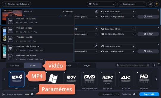 Sélectionner le format vidéo souhaité Essayez le convertisseur MKV en MP4 de Movavi