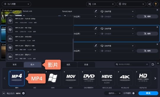 制定 MP4 輸出格式 如何將 DVD 轉檔 MP4