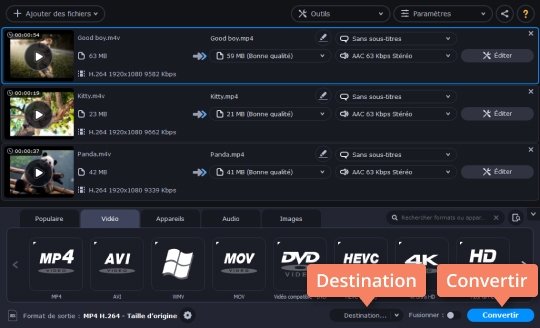Commencer la conversion des fichiers M4V Utilisez M4V Converter de Movavi