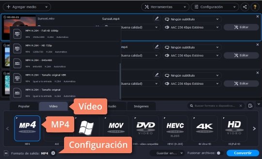 Elegir el formato de salida Use el poderoso convertidor de MKV a MP4 de Movavi