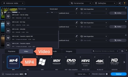 Escolher uma predefinição Transforme DVD em MP4 com o Movavi