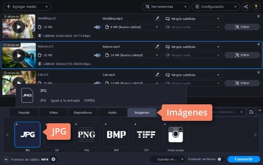 Elegir el formato de imagen Convierta CR2 y NEF a JPG en el programa de Movavi