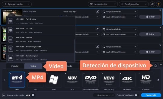Escoger un formato de salida Convierta M4V a AVI y otros formatos con el convertidor de Movavi