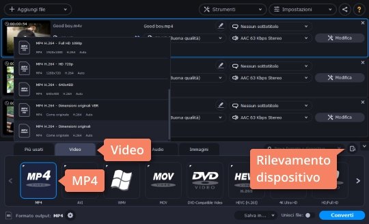 Riprodurre il video al contrario Converti i file m4v in MP4 e altri formati con Movavi