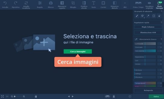Aggiungere le foto Сrea immagini con scritte con Movavi