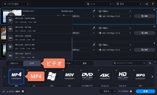 望むファイル形式を選択します 3ステップ:ファイル形式を選んでください