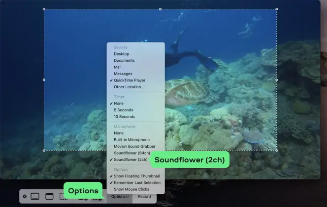 Soundflower free download