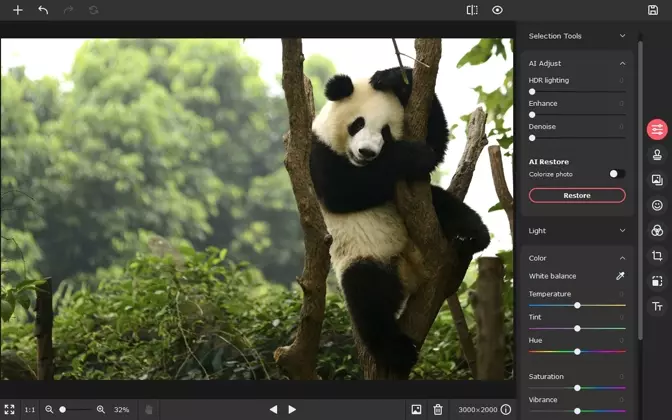 Best Free Raw Photo Editor Top 5 Best Free Raw Editor